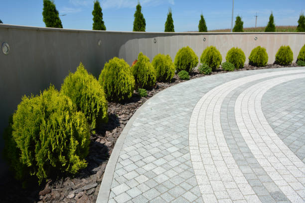 Best Driveway Pavers Near Me  in Red Lick, TX